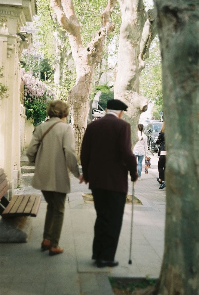 Two older people walk away hand in hand on a tree-lined sidewalk, one using a cane, while two younger people walk farther ahead.
