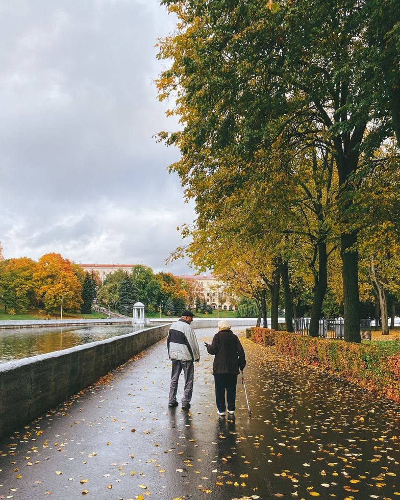 Two older people walk away on a wet, leaf-covered path beside water; one looks at a phone and the other uses a cane.